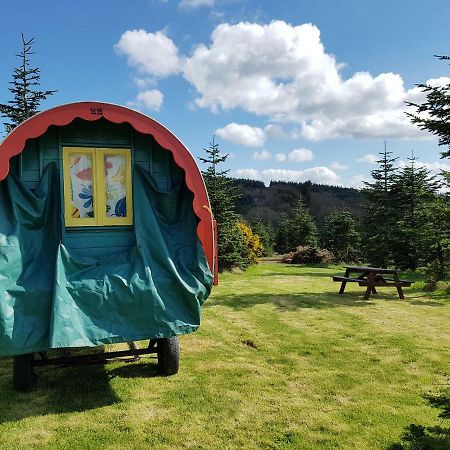 Clissmann Horse Caravans Glamping Rathdrum Εξωτερικό φωτογραφία