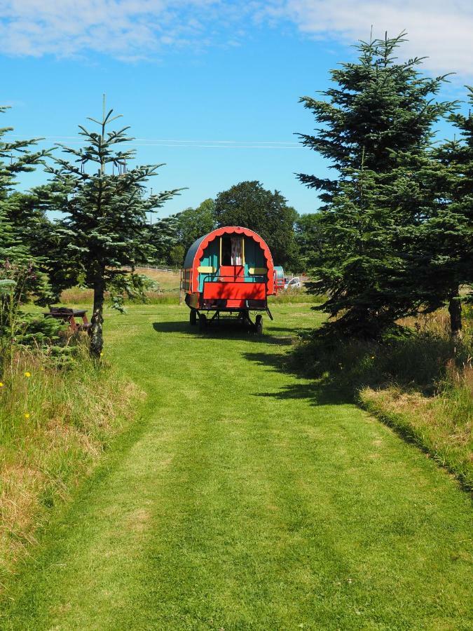 Clissmann Horse Caravans Glamping Rathdrum Εξωτερικό φωτογραφία