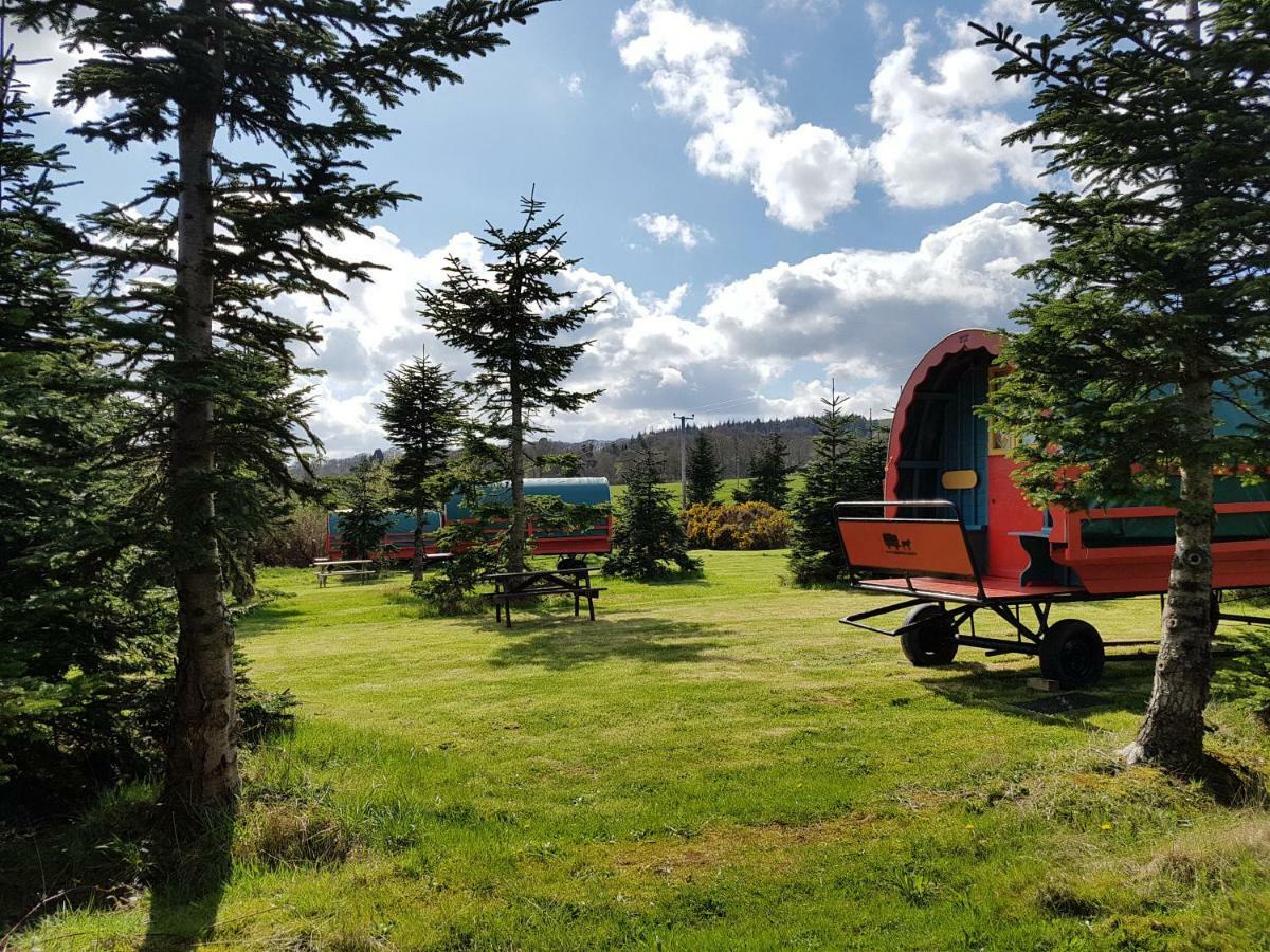 Clissmann Horse Caravans Glamping Rathdrum Εξωτερικό φωτογραφία
