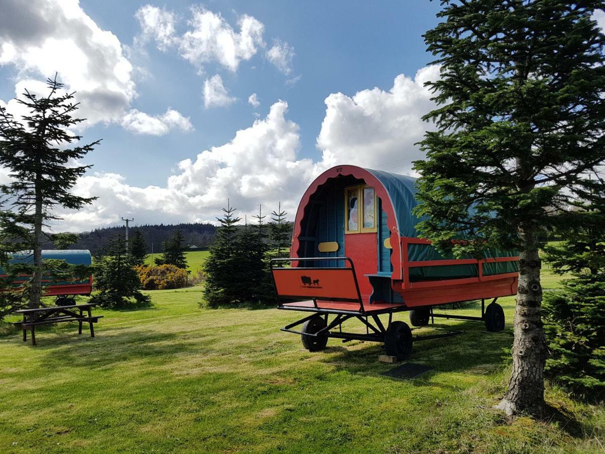 Clissmann Horse Caravans Glamping Rathdrum Εξωτερικό φωτογραφία