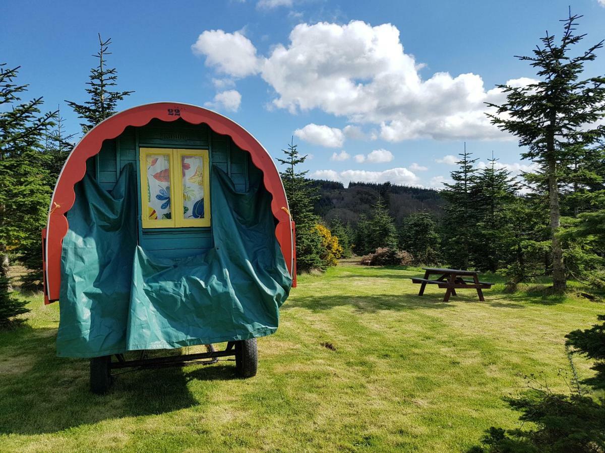 Clissmann Horse Caravans Glamping Rathdrum Εξωτερικό φωτογραφία