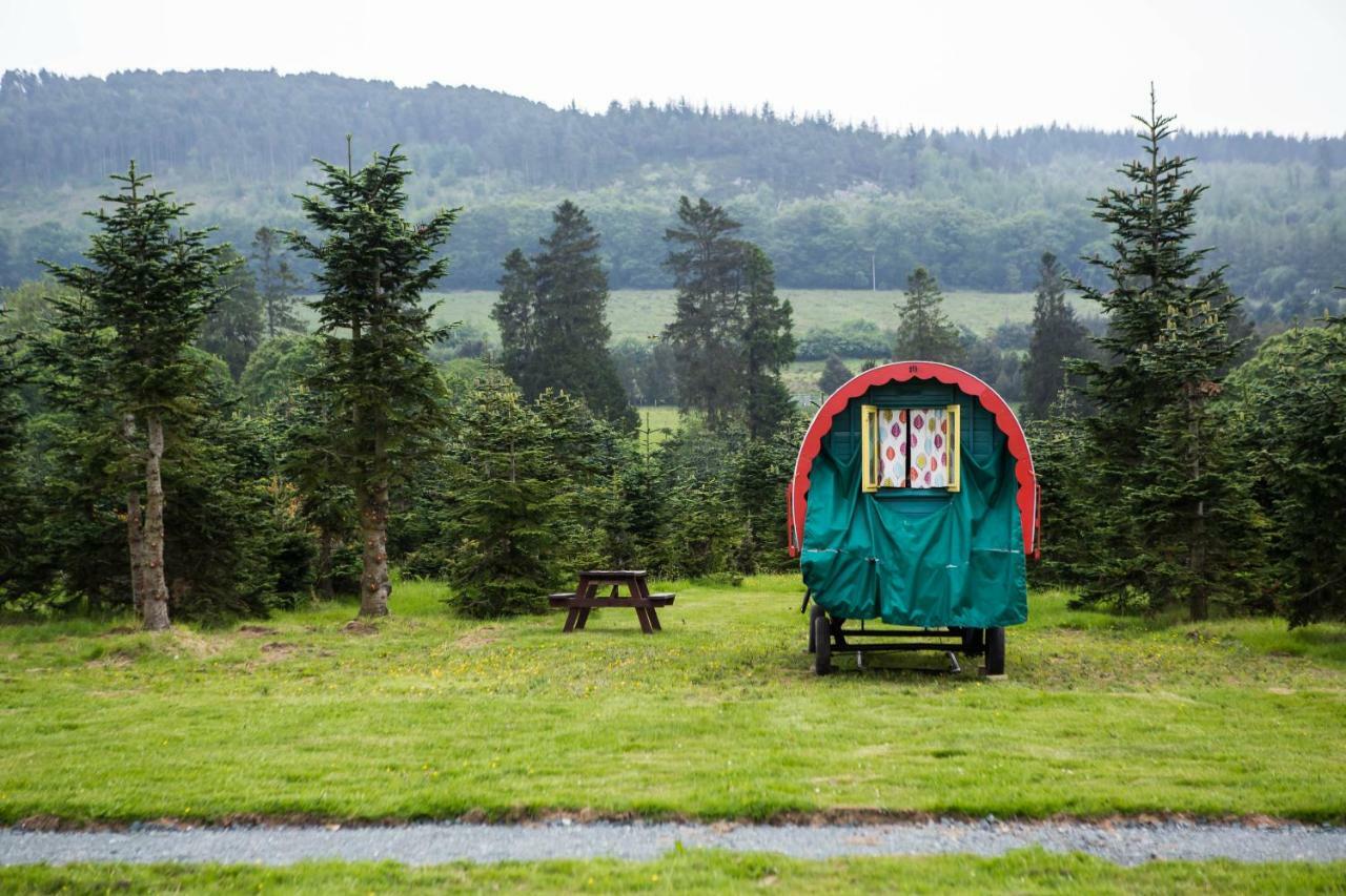 Clissmann Horse Caravans Glamping Rathdrum Εξωτερικό φωτογραφία