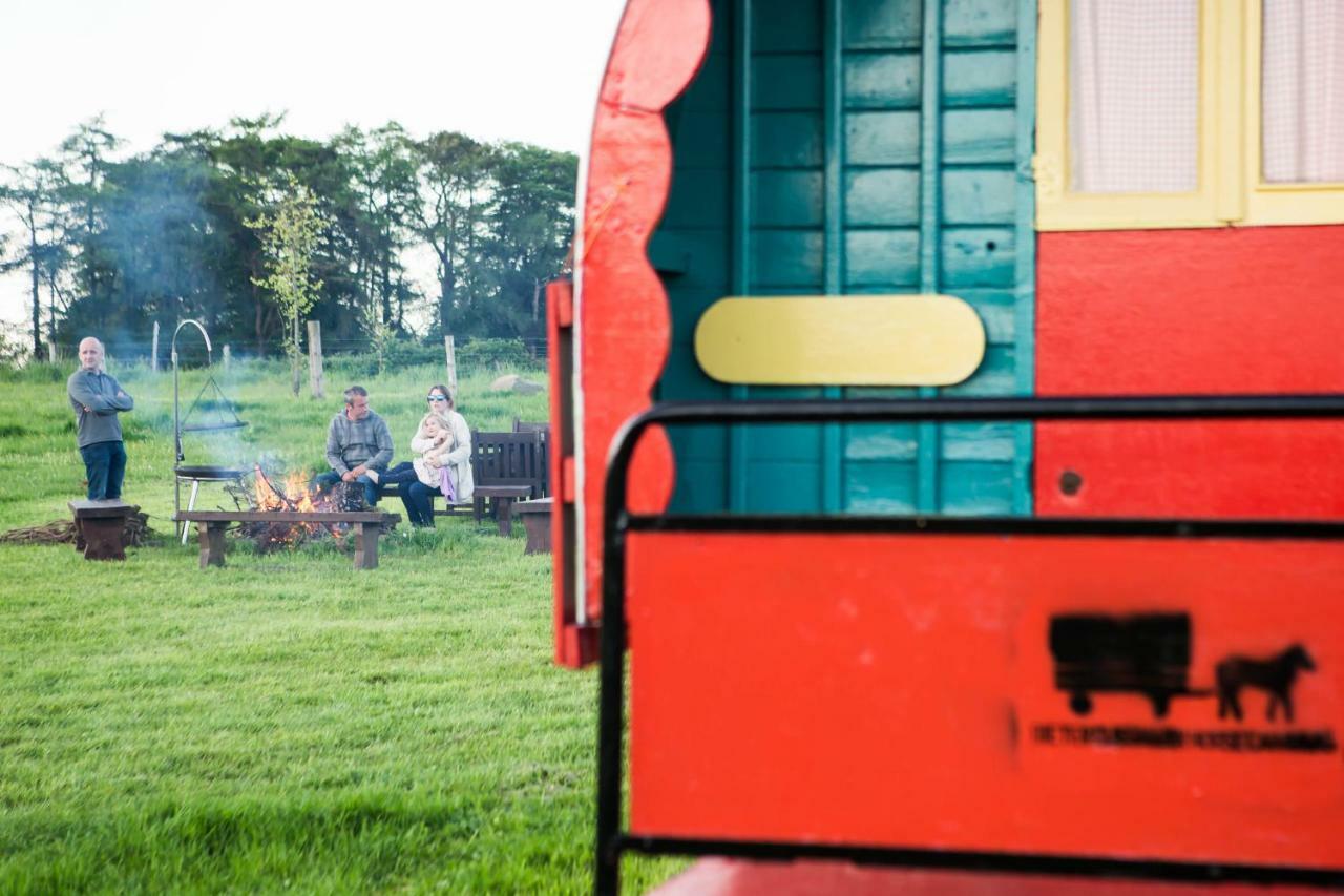 Clissmann Horse Caravans Glamping Rathdrum Εξωτερικό φωτογραφία